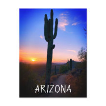 Arizona Saguaro Cactus Sunset Souvenir Travel