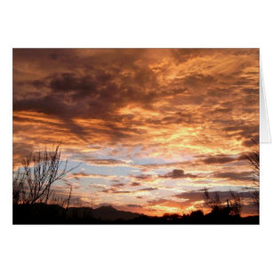 "Arizona Show"