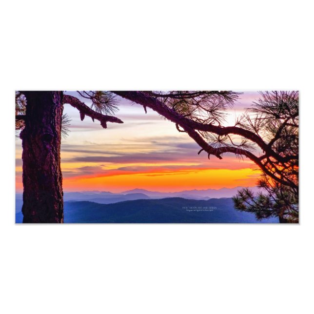 Arizona Sonnenuntergang Pine Tree Landschaftliche  Fotodruck (Vorne)