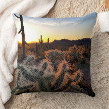 Arizona Sonnenuntergang Sonorische Wüste mit Sagua