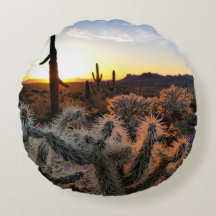 Arizona Sonnenuntergang Sonorische Wüste mit Sagua