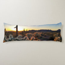Arizona Sonnenuntergang Sonorische Wüste mit Sagua