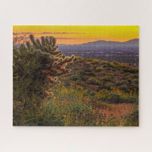 Arizona-Sonnenuntergangs-Cholla-Kaktus Lost-Dutchm