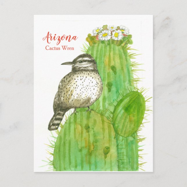 Arizona Staat Bird Cactus Wren White Blossoms Postkarte (Vorderseite)