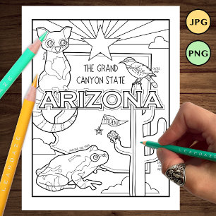 arizona Staat Form und Faktenfärbung Flyer