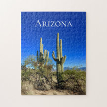 Arizona Südwestwüste Kaktus