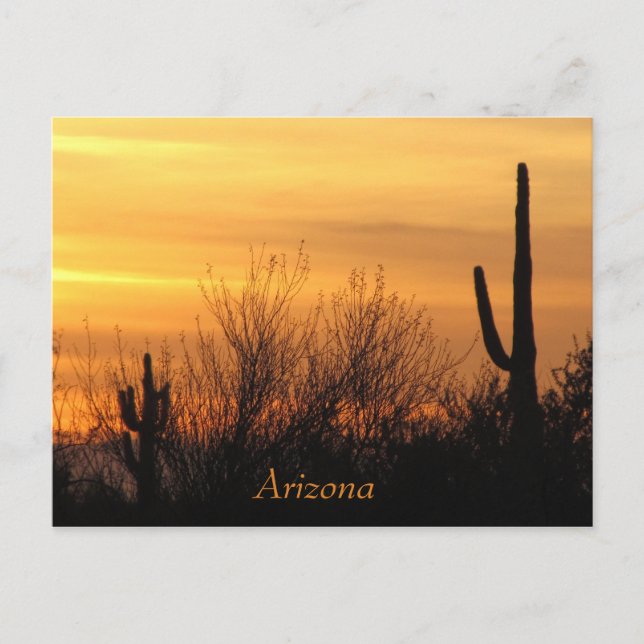 Arizona Sunset-3 Postkarte (Vorderseite)