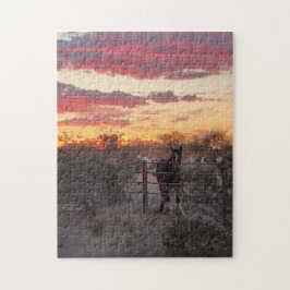 Arizona Sunset Horse
