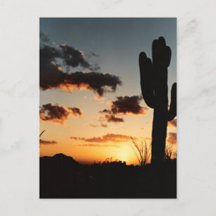Arizona Sunset Picture Postkarte