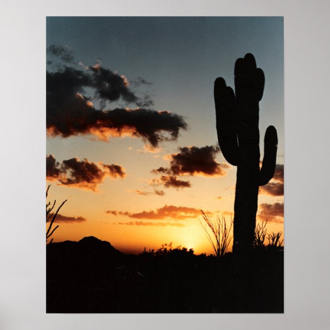Arizona Sunset Poster (Vorne)