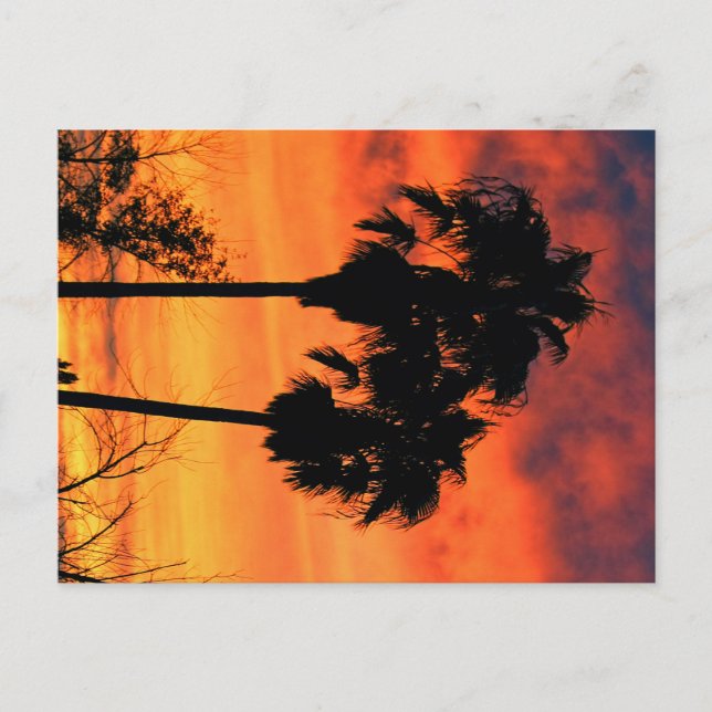 Arizona Sunset Postkarte (Vorderseite)