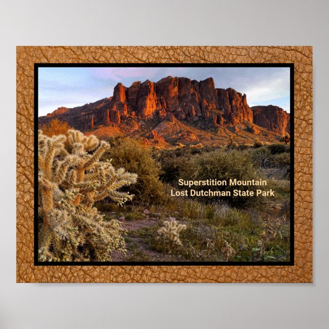 Arizona Superstition Mountain Cactus Imitats Leath Poster (Vorne)