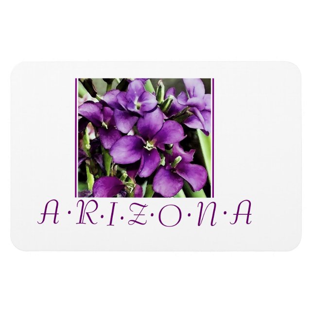 Arizona violette Blumen Magnet (Horizontal)