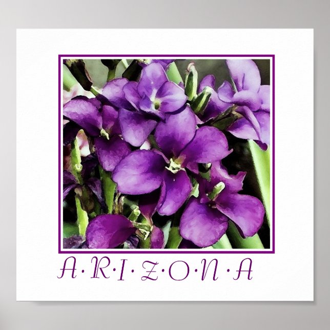 Arizona-violette Blütendrucke Poster (Vorne)
