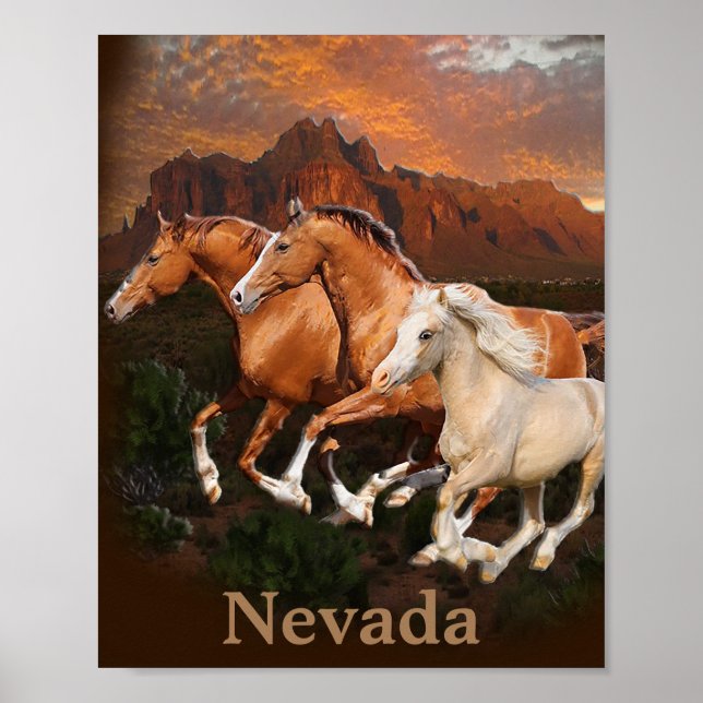 Arizona Wild Pferde Poster (Vorne)