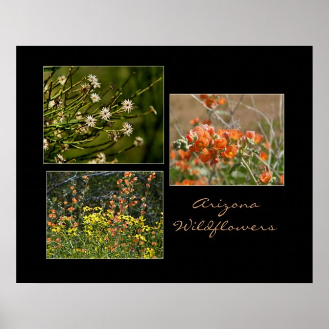 Arizona-Wildblumen Poster (Vorne)