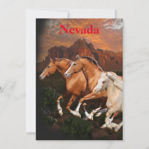 Arizona Wildpferde Feiertagskarte