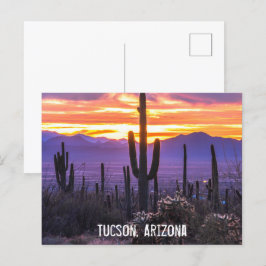 Arizona Wüste Cactus Sunset Nature Foto Souvenir Postkarte
