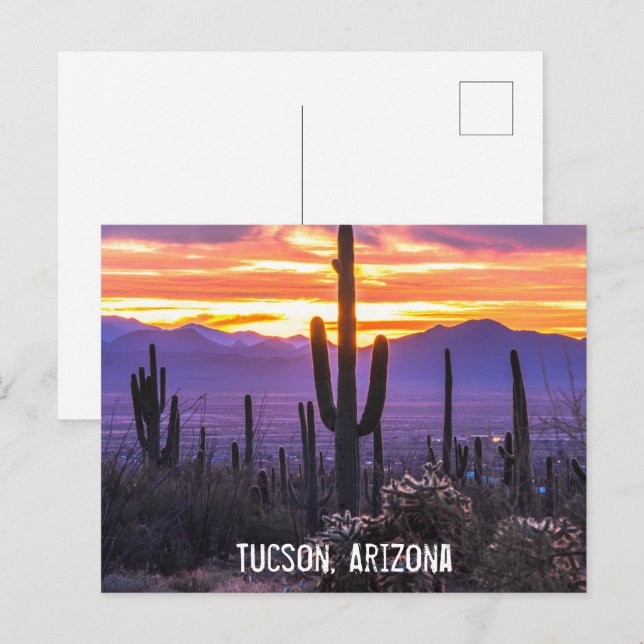 Arizona Wüste Cactus Sunset Nature Foto Souvenir Postkarte (Vorne/Hinten)