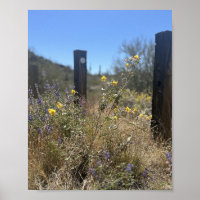 Arizona Wüste Gelbe violette Blumen versteckt Schö