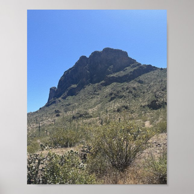 Arizona Wüste Picacho Staat Park Poster (Vorne)