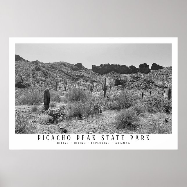 Arizona Wüste Picacho Staat Park Poster (Vorne)