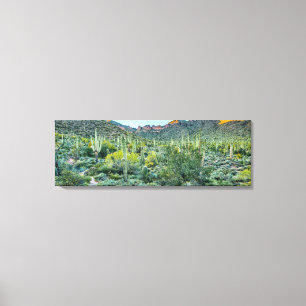 Arizona Wüstenwanderung Saguaro Kaktus Wald 36x12 Leinwanddruck