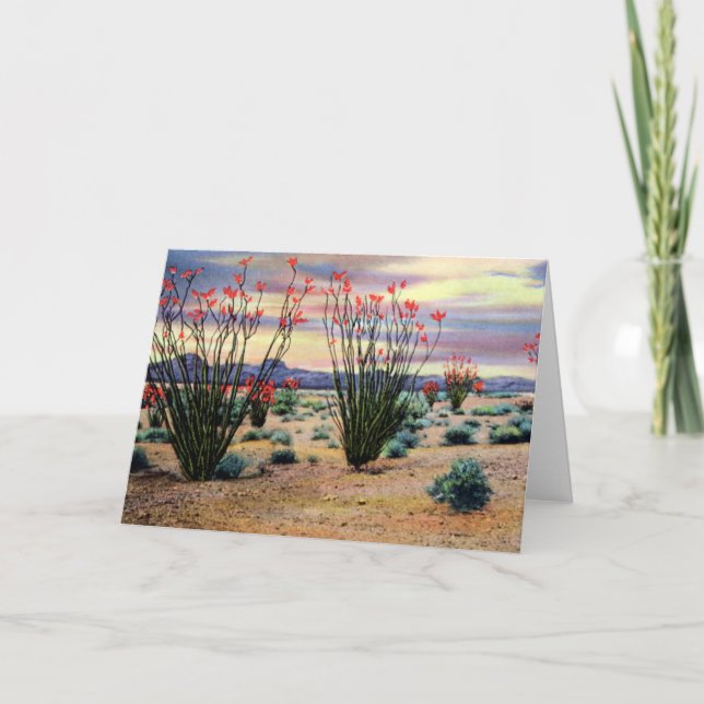 Arizona-WüsteOcotillos in der Blüte Karte (Vorderseite)