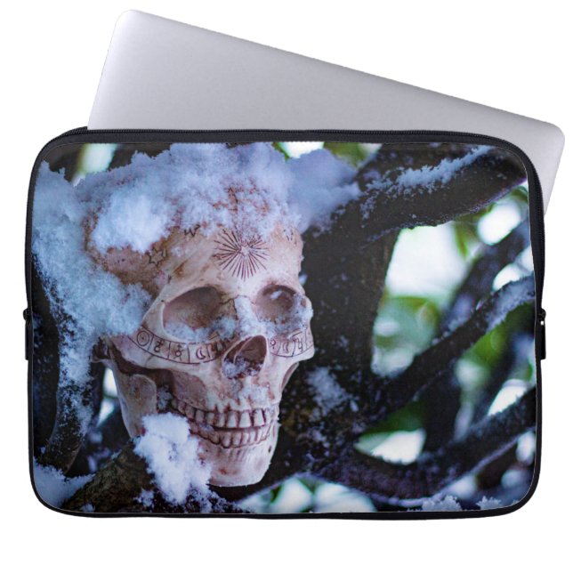 Arkane Winter I Laptopschutzhülle (Vorderseite)