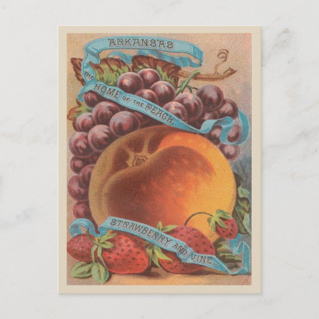 Arkansas Vintag Peach Erdbeeren Trauben Postkarte (Vorderseite)