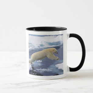 Arktis, Svalbard, Eisbär reckend Tasse