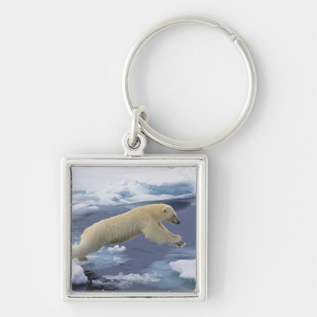 Arktis, Svalbard, Polar Bär, der sich ausdehnt Schlüsselanhänger (Vorne)