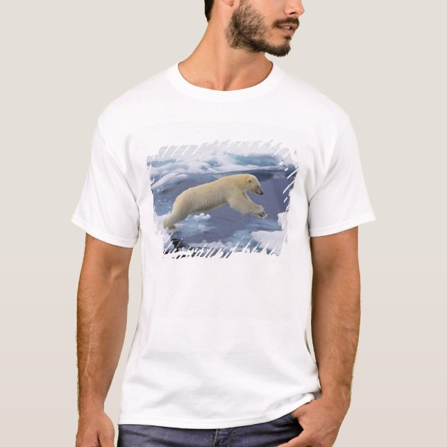 Arktis, Svalbard, Polar Bär, der sich ausdehnt T-Shirt (Vorderseite)