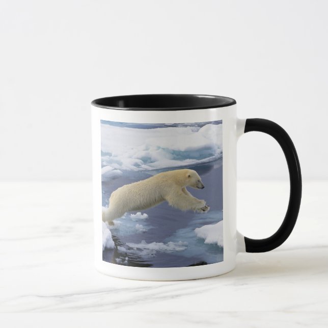 Arktis, Svalbard, Polar Bär, der sich ausdehnt Tasse (Rechts)