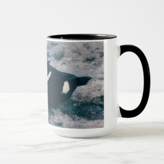 Arktische Alaska Wasservögel King Eider Male Foto Tasse
