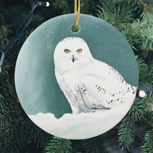 Arktische Aquamarine Schneeauwl Keramik Ornament