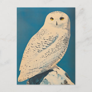 Arktische Eule vintage Postkarte