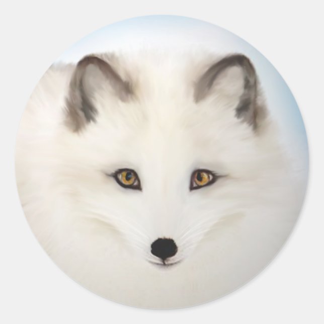 Arktische Fox-Aufkleber Runder Aufkleber (Vorderseite)