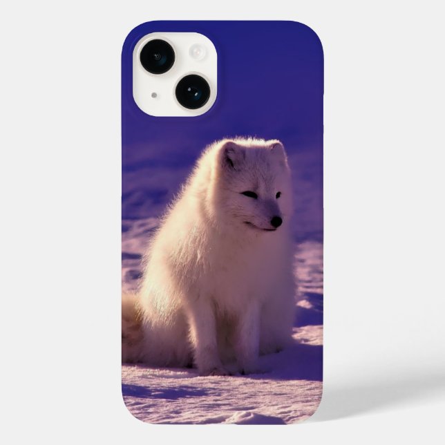 Arktische Fox Case-Mate iPhone 14 Hülle (Rückseite)