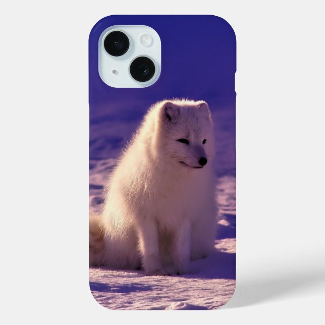 Arktische Fox Case-Mate iPhone Hülle (Rückseite)