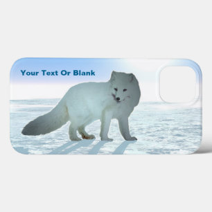 Arktische Fox title_seo2