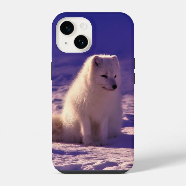 Arktische Fox iPhone 14 Hülle (Rückseite)