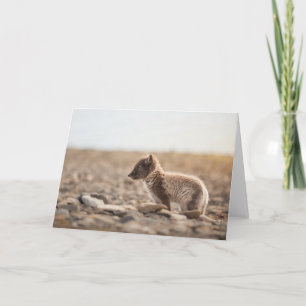 Arktische Fox-Natur-Foto Karte