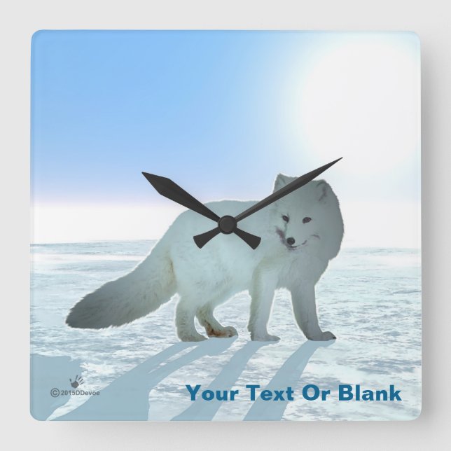 Arktische Fox Quadratische Wanduhr (Vorderseite)