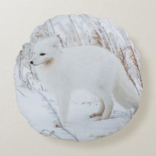 Arktische Fox Rundes Kissen