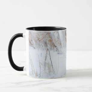Arktische Fox Tasse