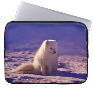 Arktische Fox Winterschneelandschaft Laptopschutzhülle
