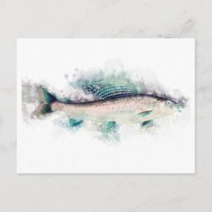 Arktische Graylation (Thymallus arcticus) Lachs Ku Postkarte