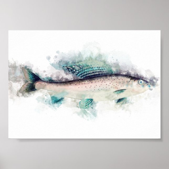 Arktische Grayling Aquarelle Angeln Poster (Vorne)