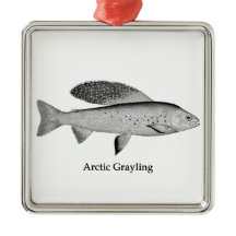 Arktische Grayling-Logo (Line Art)